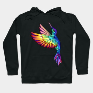 Flying Rainbow Hummingbird Hoodie